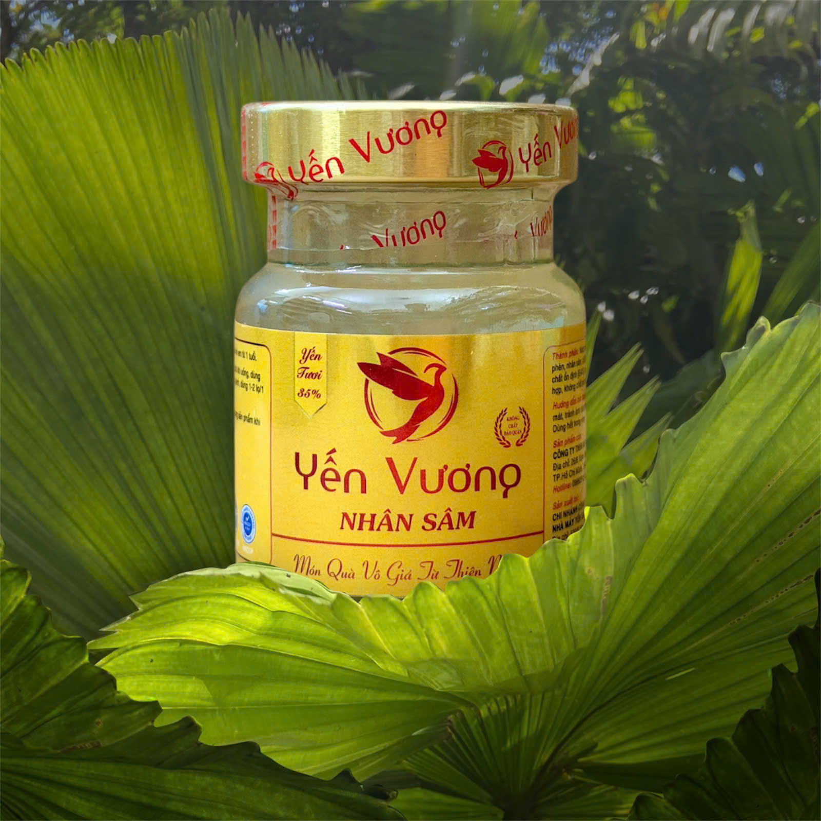 Hũ yến Vương 70ml Nhân Sâm